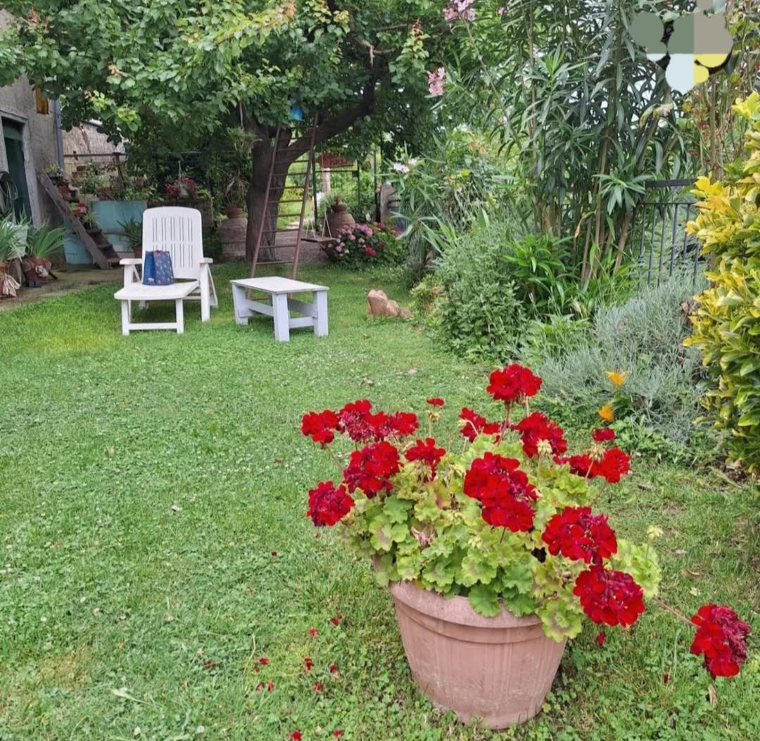 Vetulonia Romantica Dış mekan fotoğraf